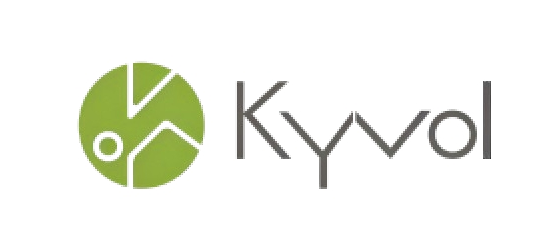 KYVOL定稿最终(1)